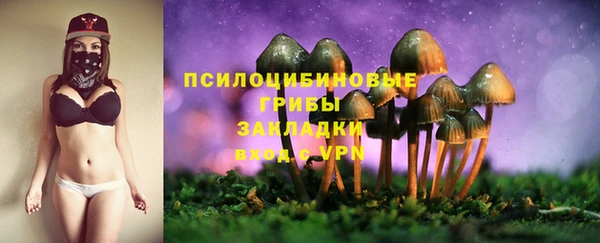 спайс Алзамай